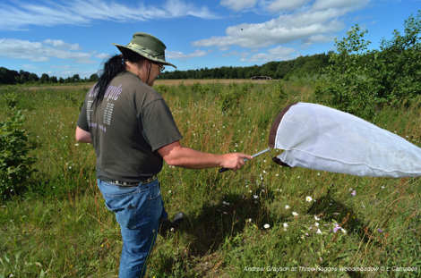 Andrew Grayson at Three Hagges Woodmeadow